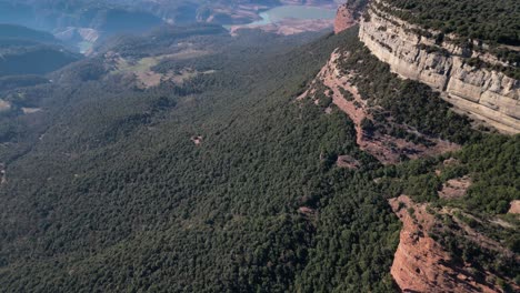 lush green forest and rugged cliffs in the tavertet region of barcelona, aerial view