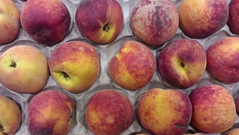 good and fresh harvest of peaches