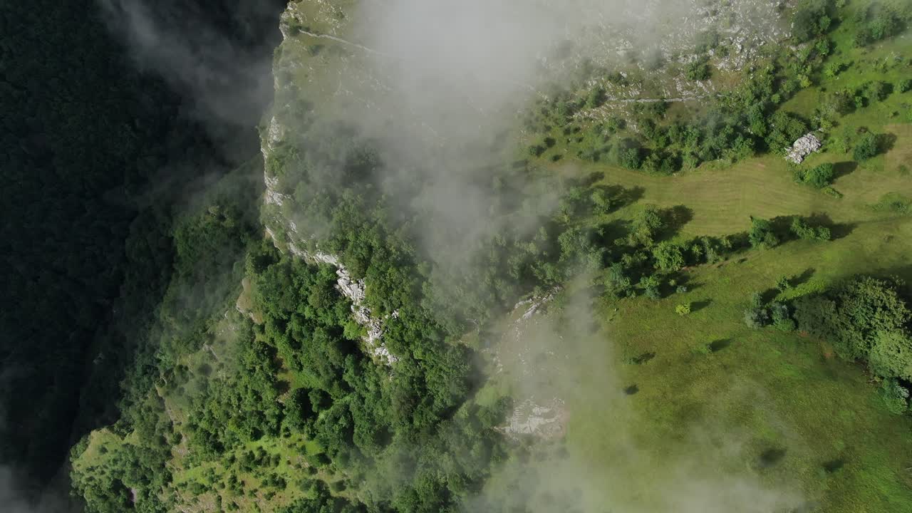 Aerial view of a green landscape with trees and a river Clouds cover parts of the scene Shadows from the clouds are visible on the ground