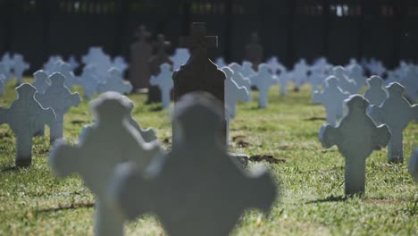 close-up standing footage with narrow focus range from a lonely and abandoned burial place