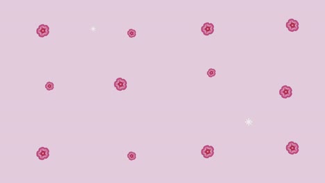 happy mid autumn festival animation with flowers pink pattern