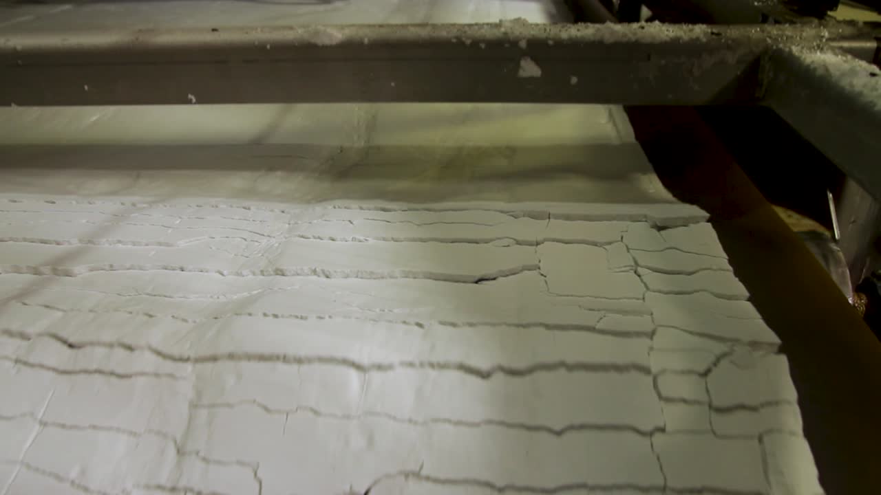 산업용 식품 가공 라인 냉동 시트