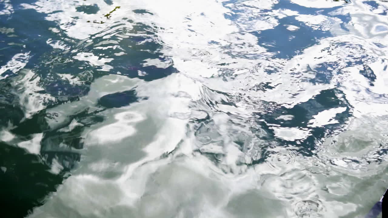 물 표면의 파동