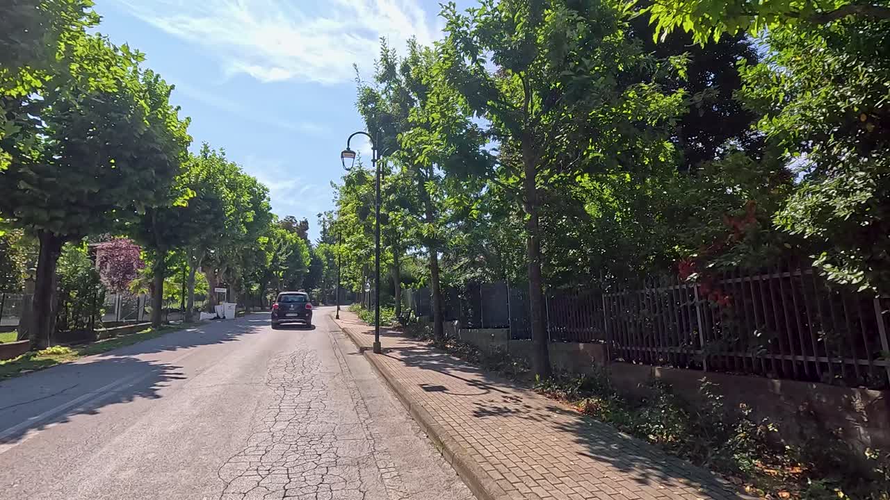 한 차가 피드몬트의 나무로 인 거리를 따라 간다