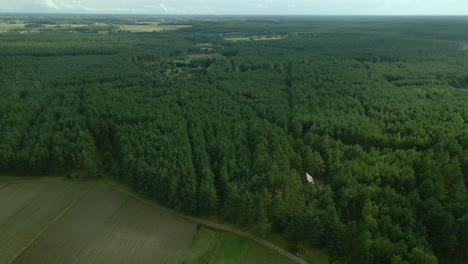 Dense-green-leafy-deciduous-forest-of-Kowalskie-Blota-village,-birds-eye-view,-Slow-Aerial-sliding-to-the-side