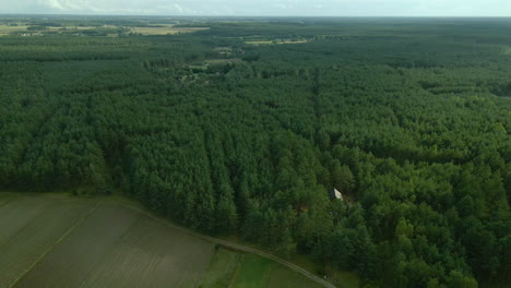 denso bosque caducifolio de hojas verdes de la aldea de kowalskie blota, vista de pájaro, lento deslizamiento aéreo hacia un lado