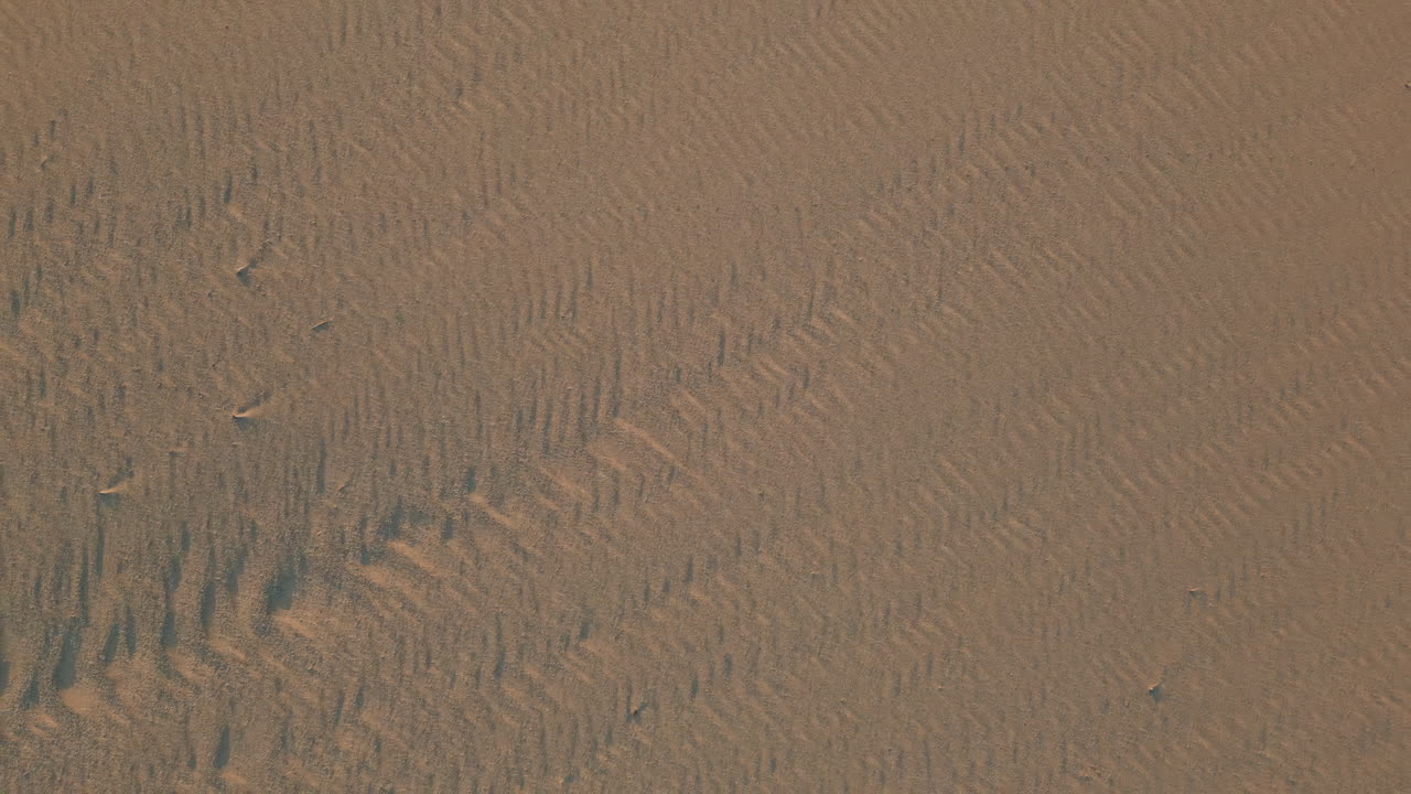 Sandy sunset beach texture top view. Aerial zoom out wind marks on wet sand