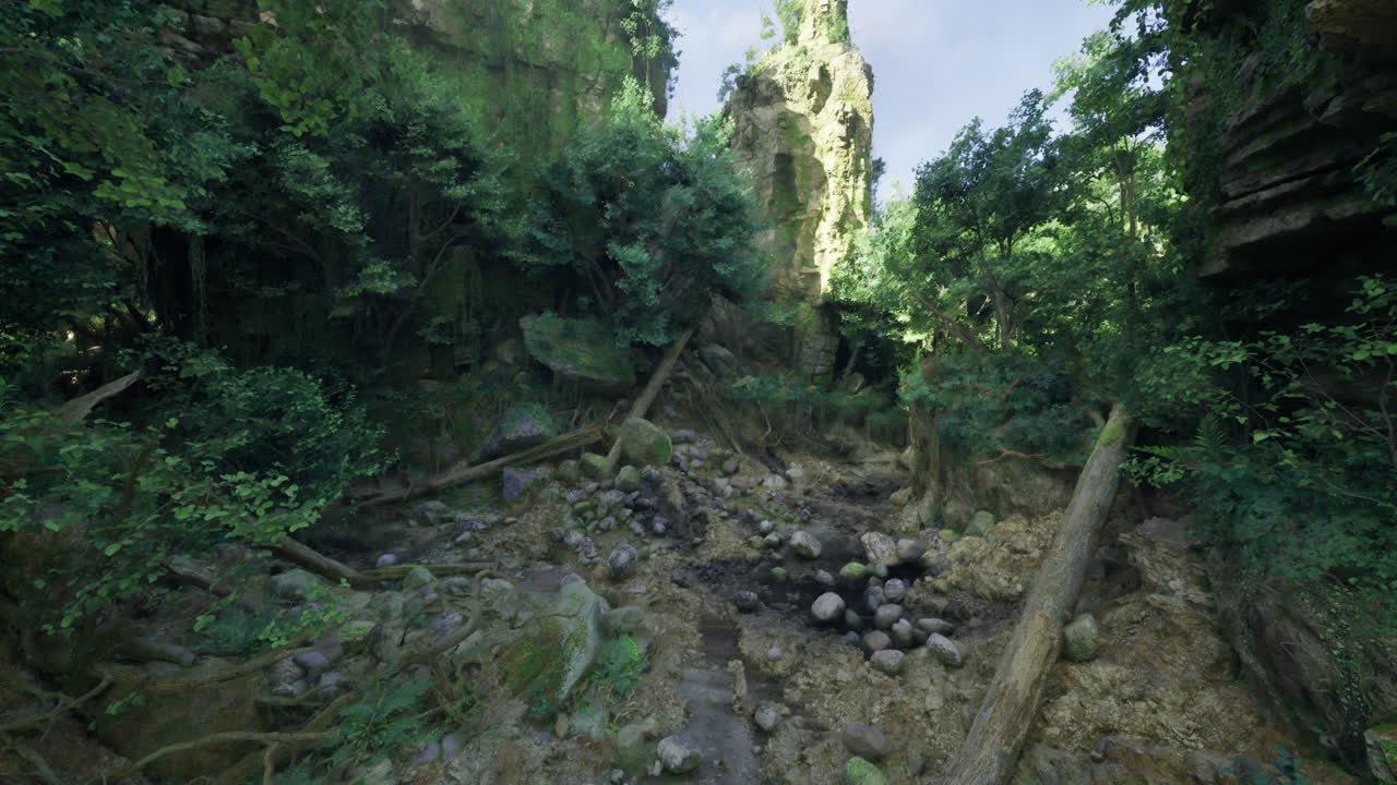 Serene forest clearing with rocks and fallen trees in natural setting