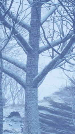 snowy winter forest