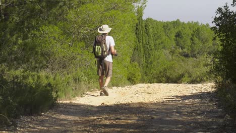 nature photographer walking on a track through forest, taking photos