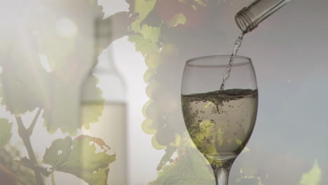 animación de vino blanco vertiendo en vaso en el fondo con uvas