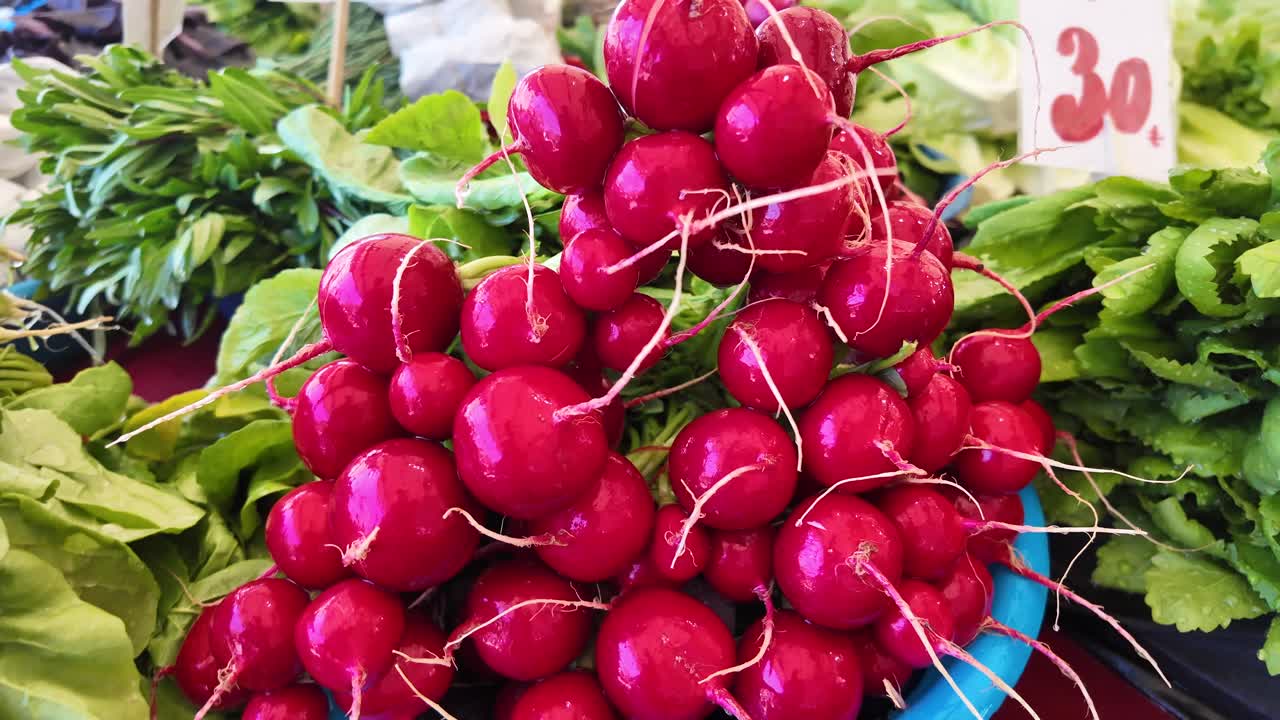 Fresh radishes on display