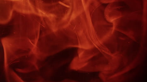 macro shot of the beginning of a fire filmed in slow-motion