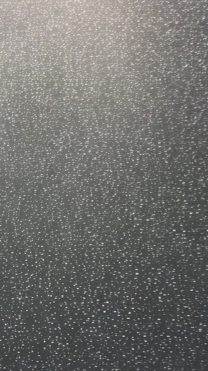 Vertical video: Brightening light exposing dark speckled panel close-up, boosting speckle contrast