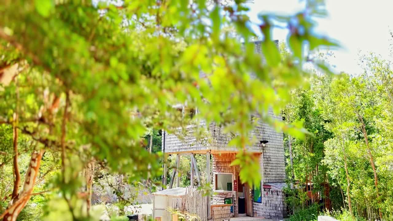 칠레의 이 많은 칠로에 있는 테푸헤이코 공원의 숲 구역의 주요 입구