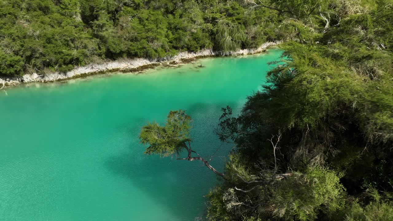 Sulfur volcanic crater lake with blue color and lush green forest in New Zealand