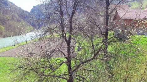 aerial view of river in kosovo