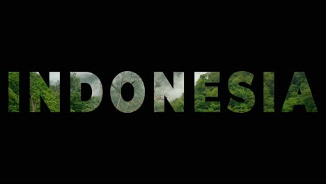 drone shot of rainforest and jungle landscape overlaid with graphic spelling out indonesia