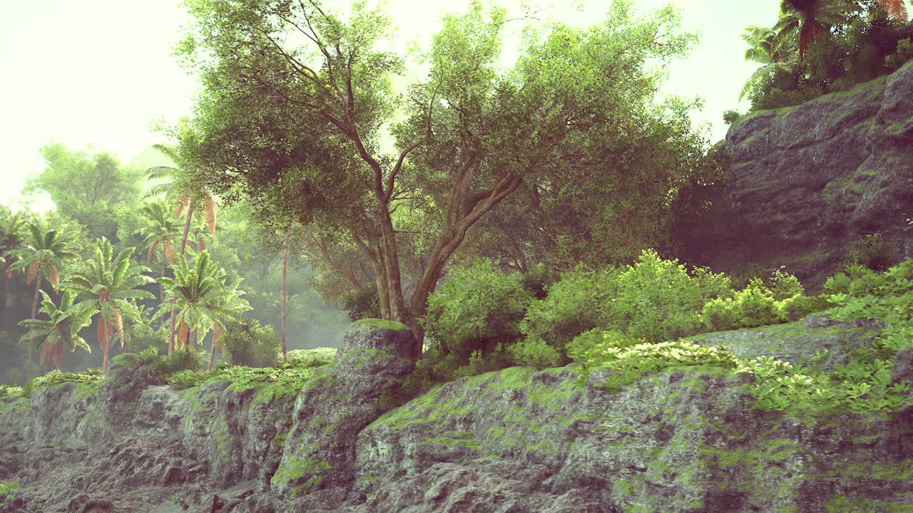Lush green landscape with trees and rocky terrain at a tropical destination