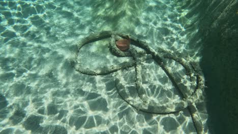 old rope underwater of a clear mediterranean sea during a scuba dive