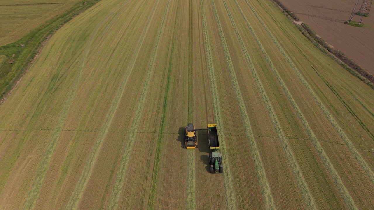 Una trinciaforaggi ferma in un campo in Lombardia, Italia. Una ripresa aerea con drone mostra le macchine agricole in attesa di un trattore e un rimorchio prima dell'inizio della raccolta dell'insilato.