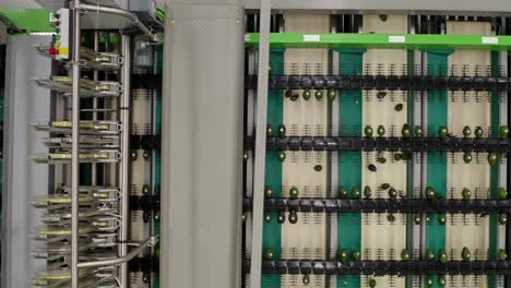 drone: top-down view of a conveyor belt at an avocado packing house moving to the left