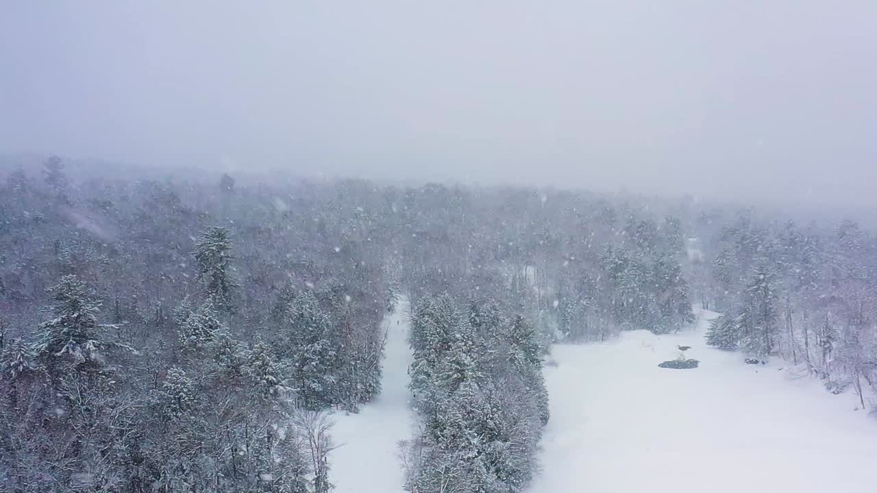 Flyvende baglæns gennem en snestorm over en frossen flod og skov, luftoptagelse i slow motion