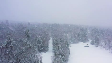 在冰冷的河流和森林上空的暴风雪中向后飞翔,