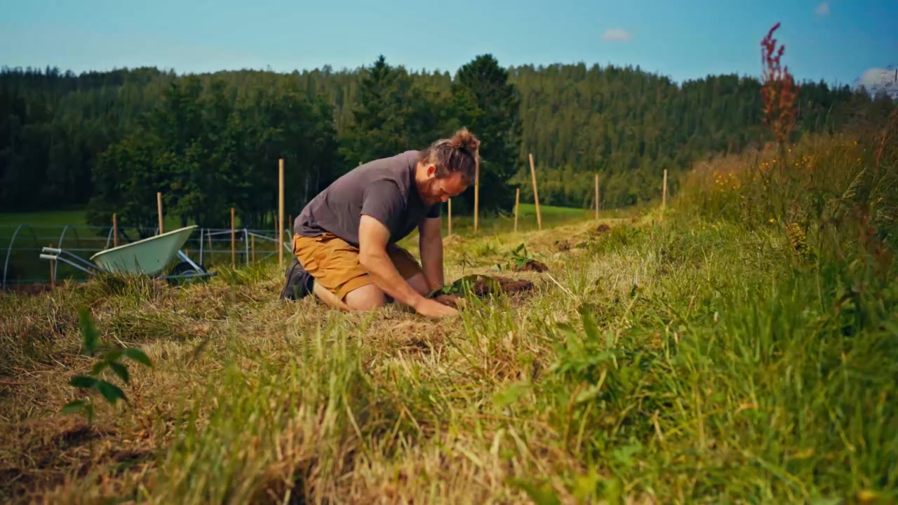 Man planting in a rural agricultural field in Norway, shown in a timelapse sequence of farm work and crop cultivation