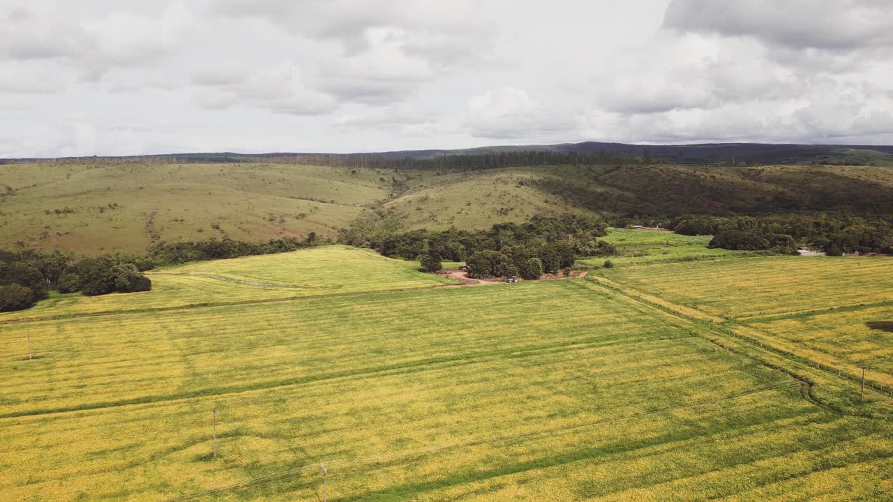 Soybean (Glycine max) fields in flowering stage in Formosa, Goiás, Brazil, showing large-scale agriculture across rolling Cerrado hills with natural vegetation patches, drone gliding