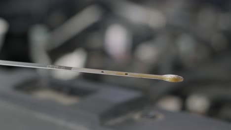checking engine oil level with dipstick
