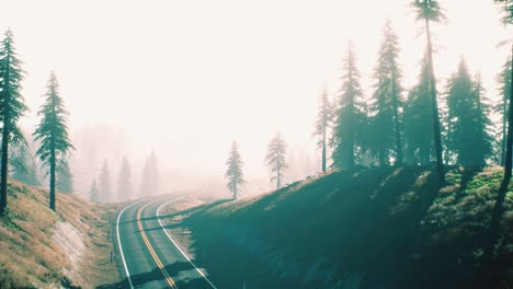 road-through-the-russian-taiga-forest-from-aerial-view