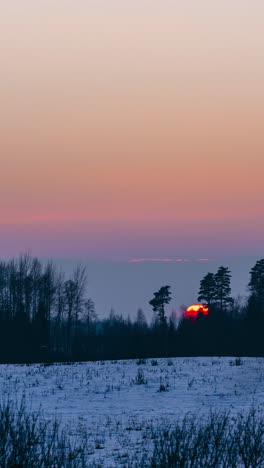 Vertical golden sunset timelapse in winter over snowy field and forest silhouette. Tranquil nature scene with orange sky and large sun disc setting behind clouds and forest.
