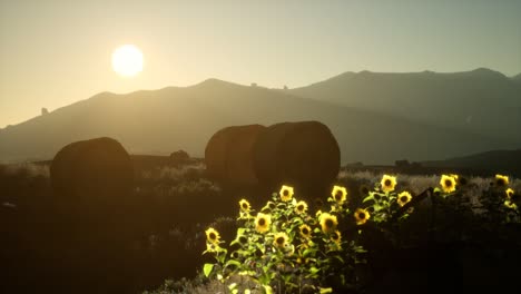 fardos de heno en la puesta de sol