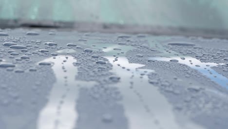 water droplets on car hood