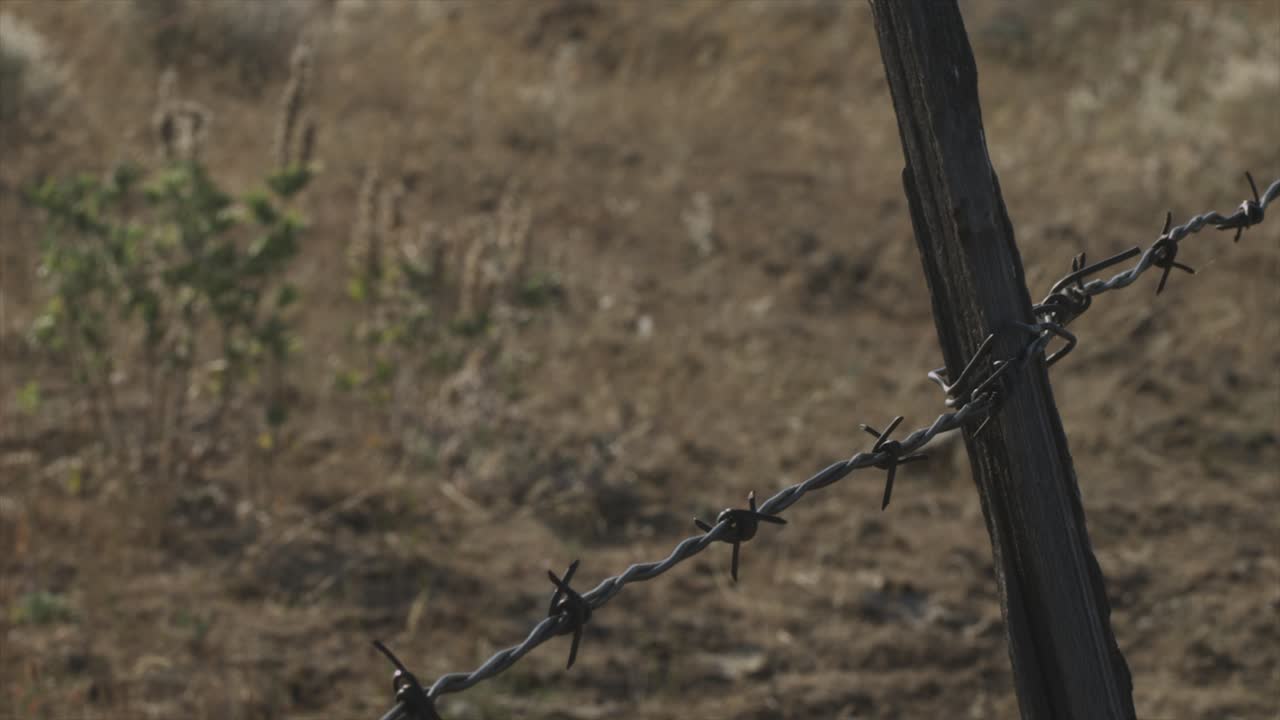 barbed wired fence in the foreground with dry weeds in the background