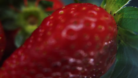 Macro-detailed-video-of-a-pile-of-strawberries,-red-strawberry,-green-leaf,-tiny-seeds,-on-a-rotating-reflection-stand,-smooth-movement