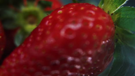 macro detailed video of a pile of strawberries, red strawberry, green leaf, tiny seeds, on a rotating reflection stand, smooth movement