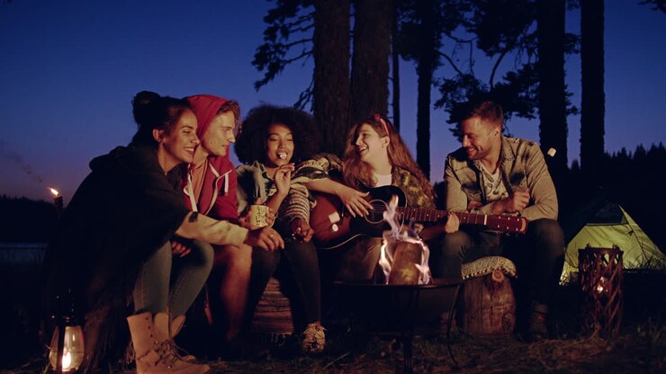 Friends Enjoying Campfire Night Under
