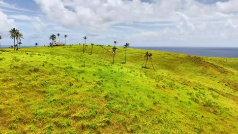 lush green hills gently slope toward the distant ocean under a vibrant sky on corregidor island, siargao, philippines, dotted with tall palm trees and a few rustic structures near the horizon