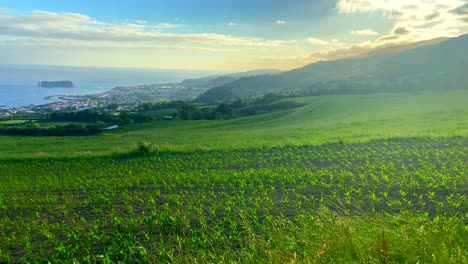 Panoramic-view-of-green-crops-of-Sao-Miguel-island-at-sunset,-Portugal
