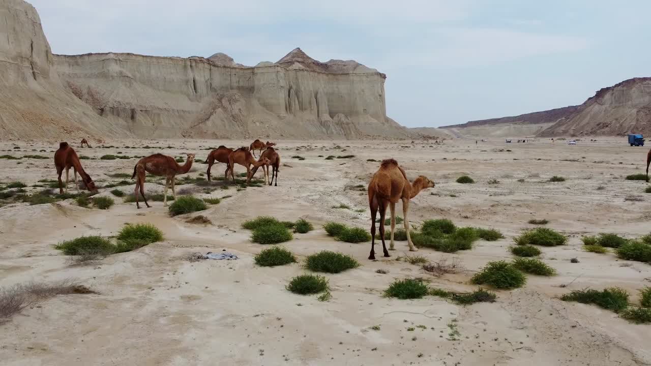 disparo aéreo volar sobre el desierto paisaje climático costero maravilloso disparo panorámico de la erosión del viento acantilado montaña roca atracción turística alojamiento tradicional albergue complejo montar camello actividad turística