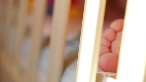 baby foot closeup sunlight