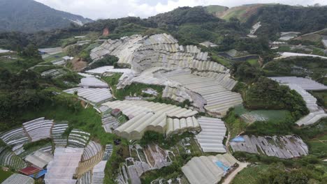 general landscape view of the brinchang district within the cameron highlands area of malaysia