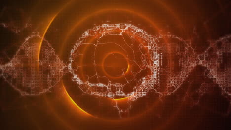 animación del cerebro digital sobre senderos y círculos naranjas
