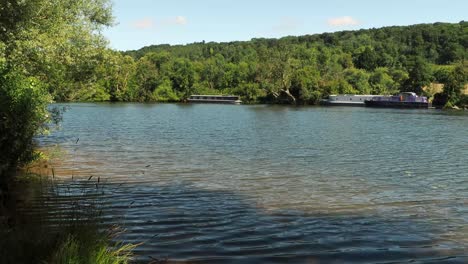 in the mapledurham meadows, and purley on river thames