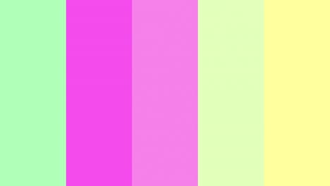 paletas animadas de 5 colores cambiantes