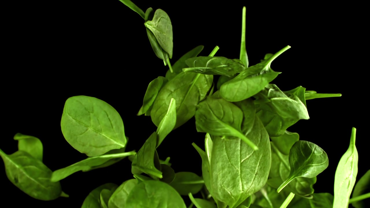 Foglie di spinaci freschi e verdi che galleggiano verso l'alto al rallentatore