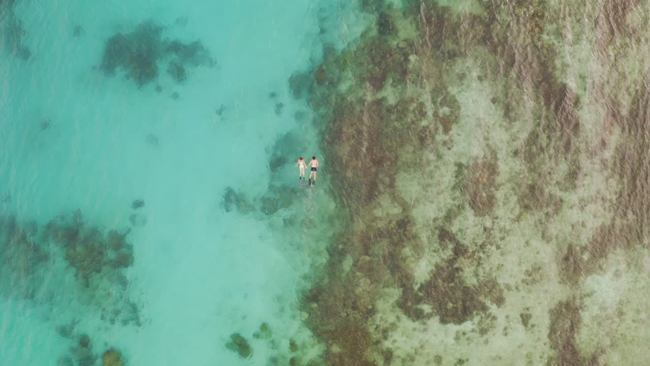 Let's explore the ocean together