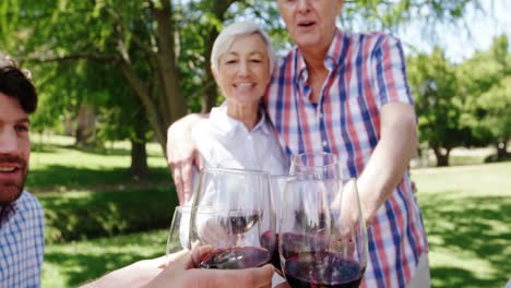 familia brindando copas de vino tinto en el parque